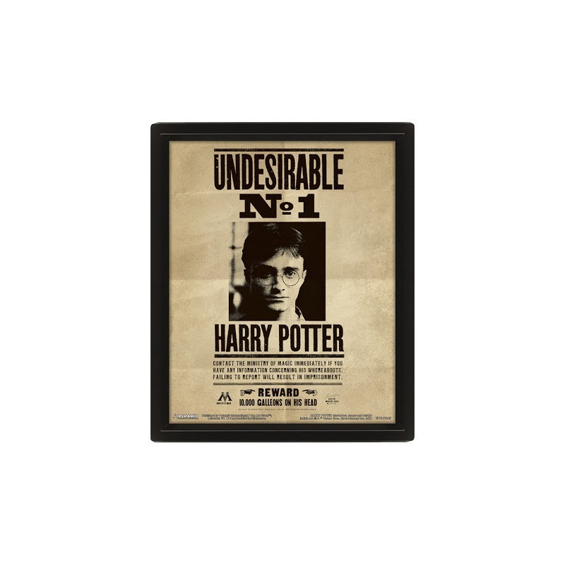 Poster 3D Harry Potter / Sirius 10 x 8 x 1.3 cm