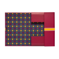 Carpeta Solapas Gryffindor Harry Potter