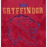 Pijama Largo Coralina Niño Rojo y Azul Gryffindor Harry Potter