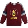 Sudadera Niño Roja Gryffindor Harry Potter