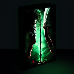 Lienzo con Luz Harry vs Voldemort Harry Potter 30x40cm