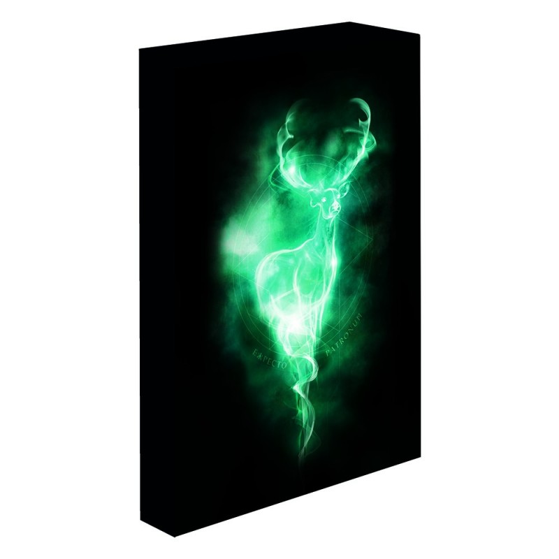 Lienzo con Luz Patronus Harry Potter 30x40cm