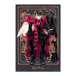 Póster Harry Potter Wizard Dynasty Harry Potter 61 x 91,5 cm