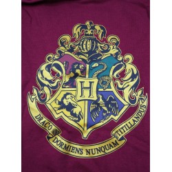 Sudadera Capucha Niño Roja Hogwarts Harry Potter