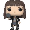 Figura POP Hermione Granger Harry Potter y la Cámara Secreta (20th)