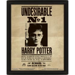 Cuadro Harry Potter Undesirable Nº1 Noble Collection