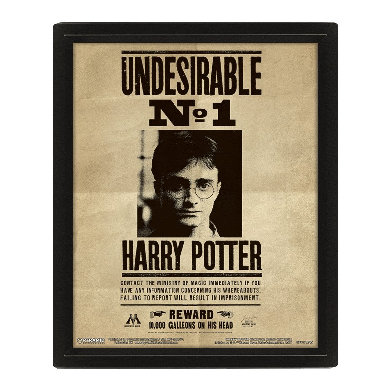 Cuadro 3D Undesirable Nº1 Harry/Sirius Harry Potter