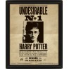 Cuadro 3D Undesirable Nº1 Harry/Sirius Harry Potter