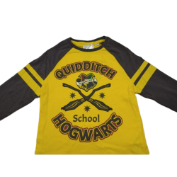 Camiseta Manga Larga Amarilla Quidditch Harry Potter