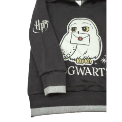 Sudadera Niña Gris Hogwarts Harry Potter