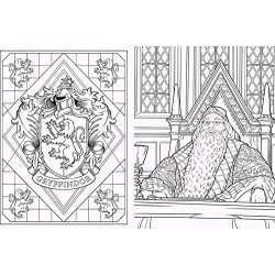 Harry Potter Libro Oficial para Colorear Gryffindor