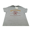 Camiseta Gryffindor Quidditch Harry Potter