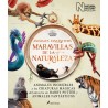 Animales Fantásticos Maravillas de la Naturaleza