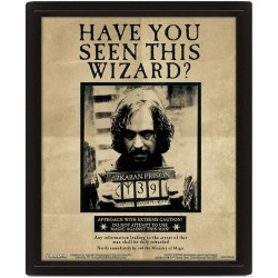 Poster 3D Harry Potter / Sirius