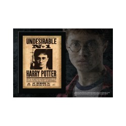 Cuadro 3D Undesirable Nº1 Harry/Sirius Harry Potter